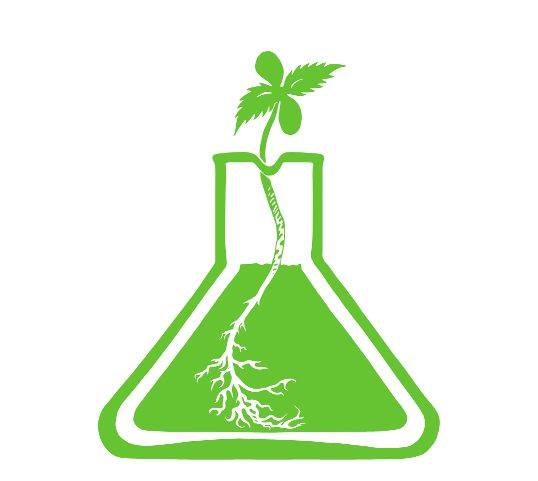 ciencias-para-la-cannabis-logo_18497295714_o