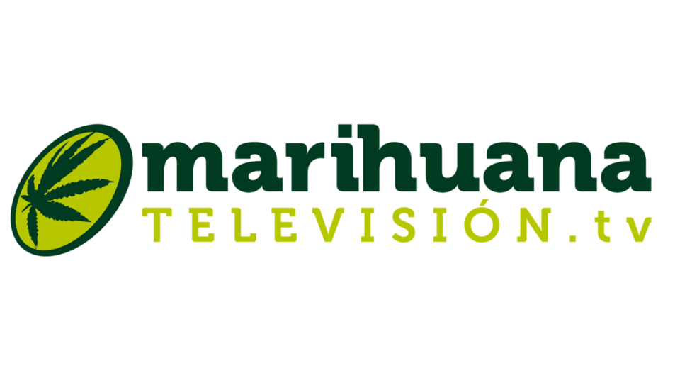marihuana-television_35397148362_o